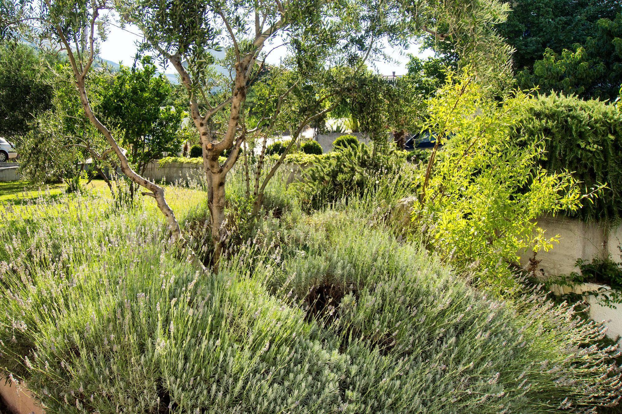 Villa Lavanda Подстрана Екстериор снимка