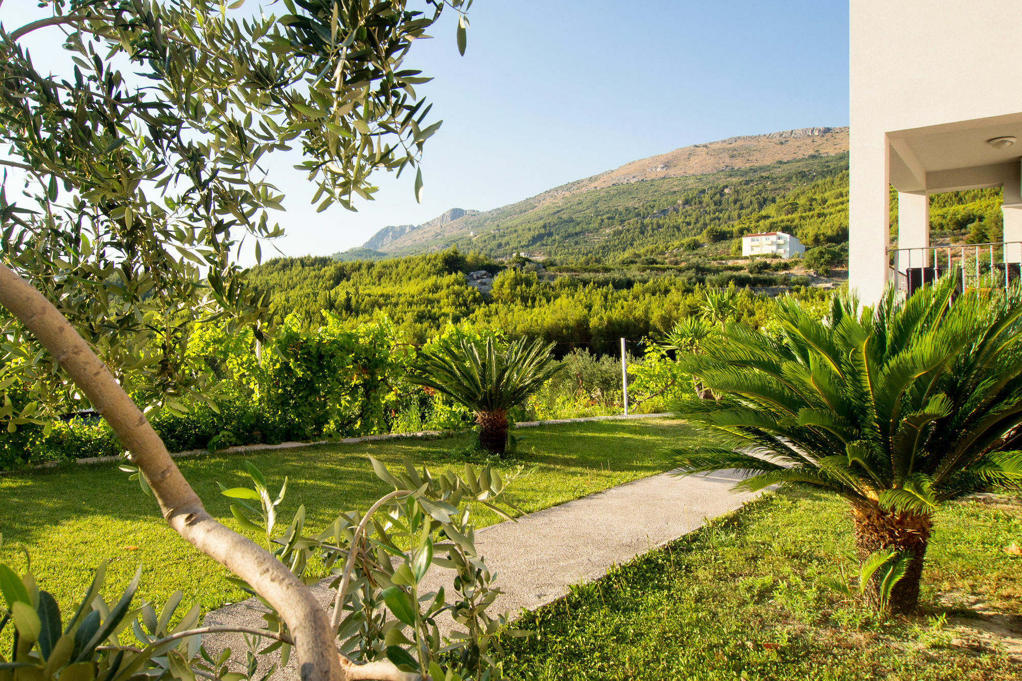 Villa Lavanda Подстрана Екстериор снимка